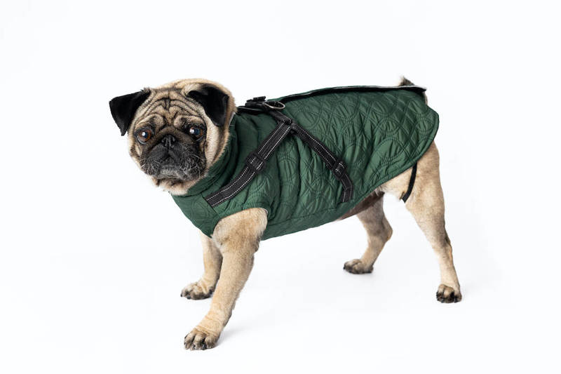 Ubranko dla psa kurtka jesienna kolor zielony M