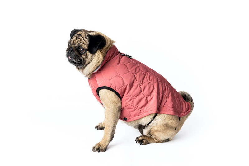 Ubranko dla psa super na chłodne dni różowe XXL